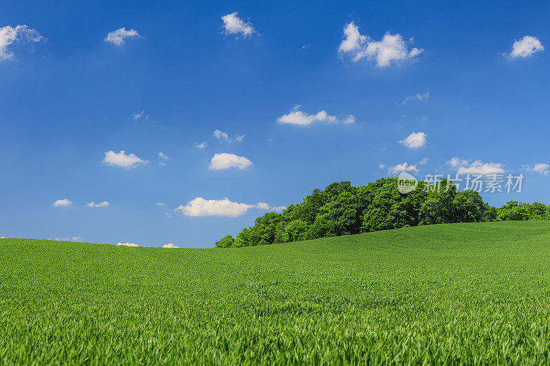 全景春天景观，xxxxl40mpix -绿色的田野，蓝色的天空